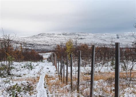 Premium Photo | Mesh fence on the border of finland and norway