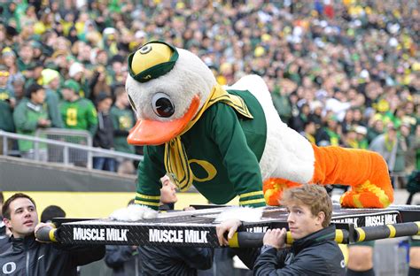 Oregon Ducks make final four « TravelJapanBlog.com