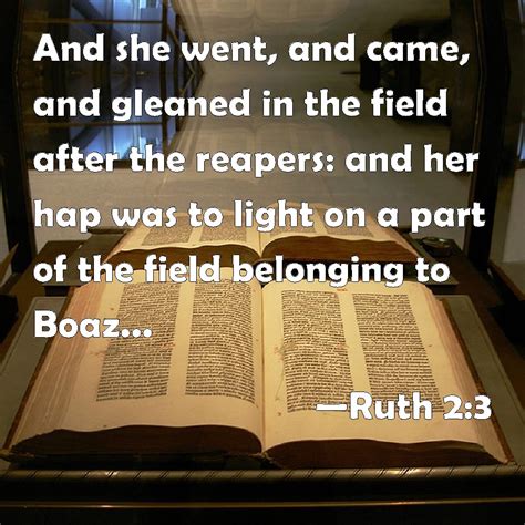 Ruth 2:3 And she went, and came, and gleaned in the field after the ...