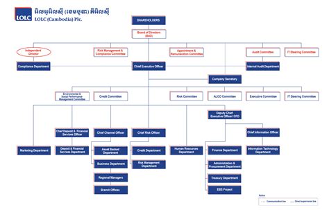 Organization Structure