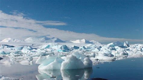 Scientists find 91 new volcanoes under Antarctic ice sheet | World News | Sky News