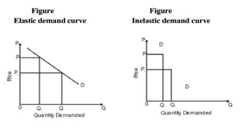 Elasticity of Demand and Types of Elasticity of Demand