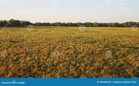 Low Flying Hot Air Balloon Ride Over Empty African Grassland Savannah in Maasai Mara National ...