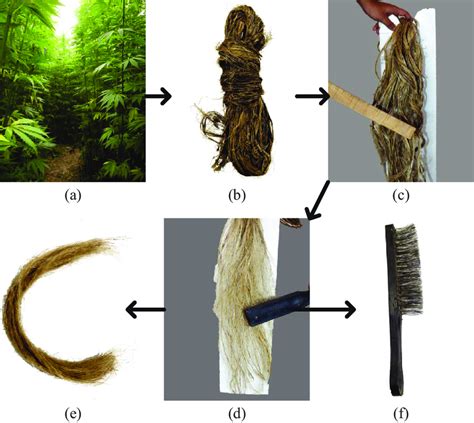 Hemp fiber extraction. | Download Scientific Diagram