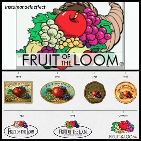 Fruit Of The Loom Logo - All You Need Infos