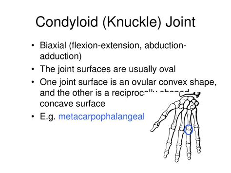 PPT - Joints of the Human Body PowerPoint Presentation - ID:176716