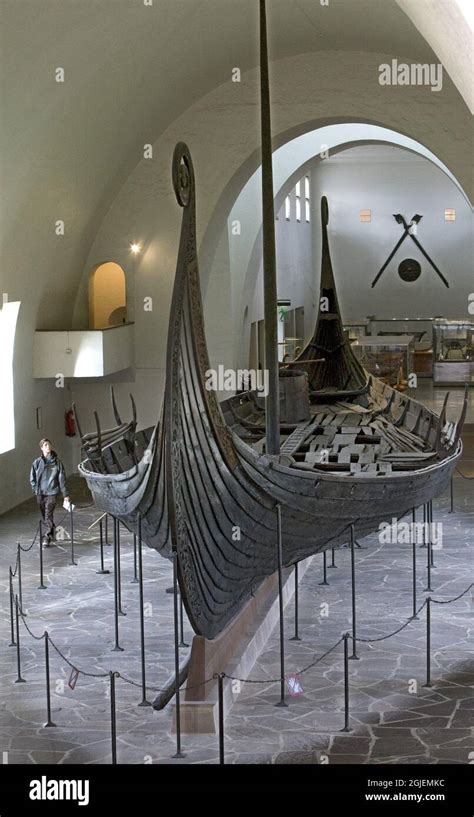 The Oseberg ship inside the Viking Ship Museum part of Museum of Cultural History in Oslo ...