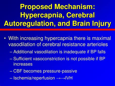 PPT - The Effects of Hypercapnia on Cerebral Autoregulation and Neonatal Brain Injury PowerPoint ...