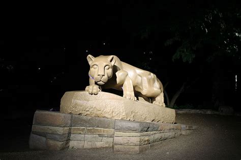 HD wallpaper: psu, lion, mountain lion, state college, penn state ...