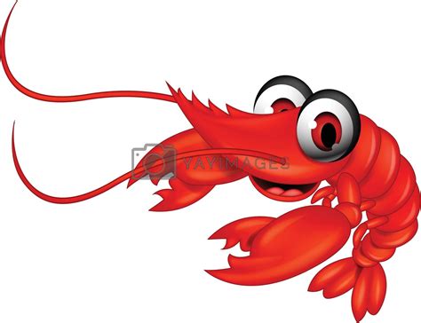 funny red shrimp cartoon by sujono Vectors & Illustrations with Unlimited Downloads - Yayimages