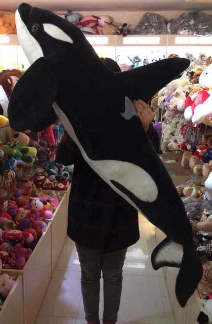 Full Size Orca Killer Whale Soft Stuffed Plush Toy – Gage Beasley