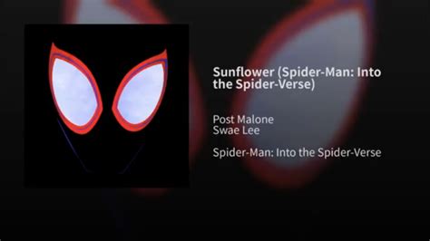 Sunflower | Spider verse, Man, Spiderman