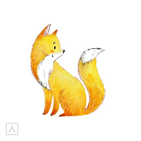 Realistic Fox Drawing Tutorial