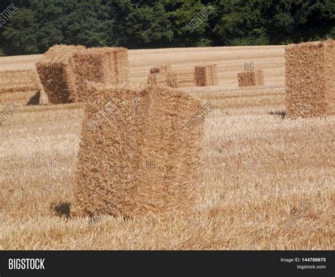 Square Straw Bales Image & Photo (Free Trial) | Bigstock