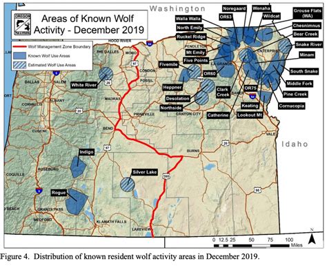 Oregon Minimum Wolf Count Jumps By 15 Percent