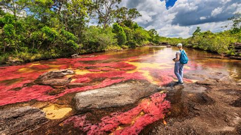 Caño Cristales: Colombia's Rainbow River - Unusual Places