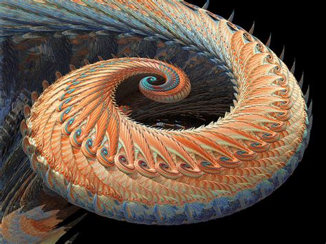 Dragon Tail Fractal Photograph by Laguna Design