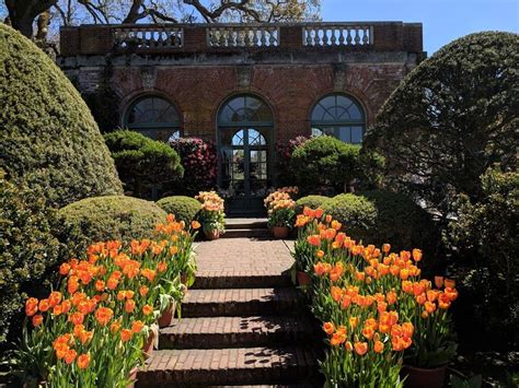 The best time to visit Filoli gardens & mansion | Historic homes, City travel, Beautiful gardens