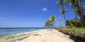 Caribbean Beach Scene — Stock Photo © monner #2700849