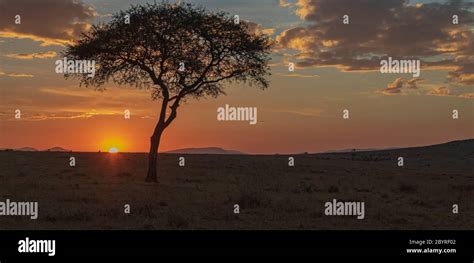 Masai Mara sunrise Stock Photo - Alamy