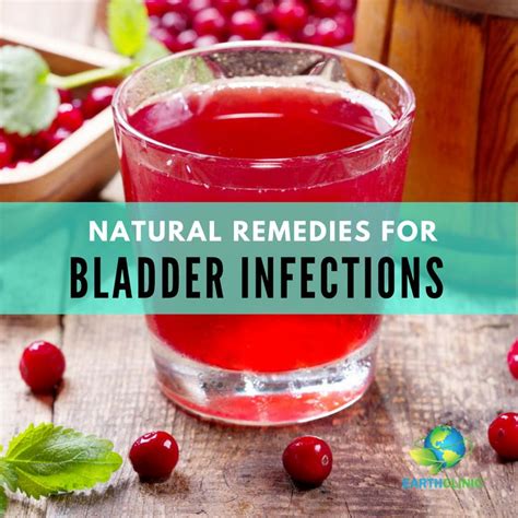 Natural Remedies for a Bladder Infection (UTI) | Bladder infection remedies, Natural remedies ...