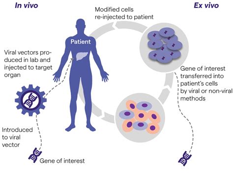 Bioengineering Will Change What it Means to be Human - Michael Megarit