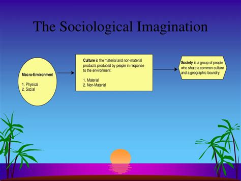 Social Imagination Essay – Telegraph