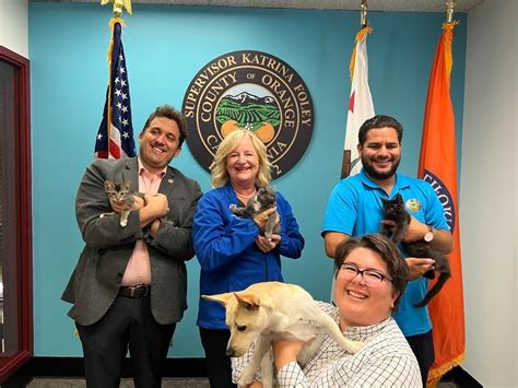 Get A Fur-Ever Friend For Free, Thanks To OC Sup. Katrina Foley ...