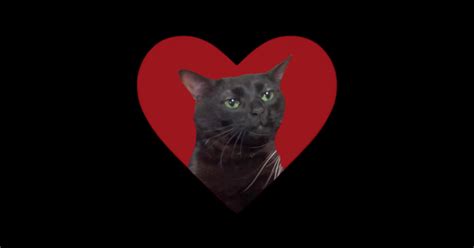 Zoned Out Cat - Cat Meme - Sticker | TeePublic