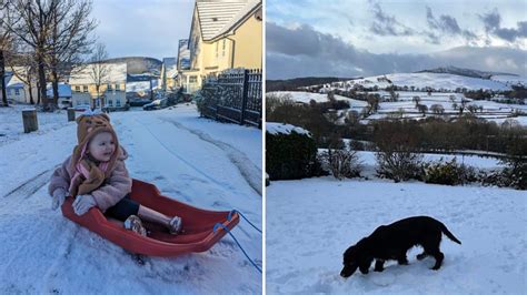 Wales weather: Your best snow pictures from across the country | ITV News Wales