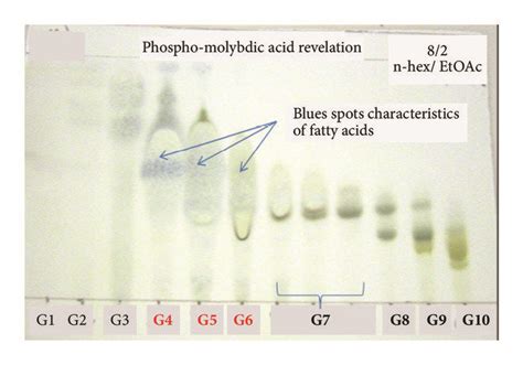 Phosphomolybdic acid revealed TLC of U. rigida (GEM) purified fractions... | Download Scientific ...