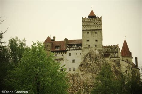 Bran Castle: The Real Story of a World Famous Attraction