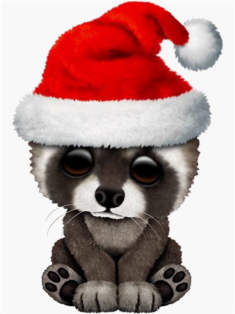 "Christmas Raccoon Wearing a Santa Hat" Sticker by JeffBartels | Redbubble