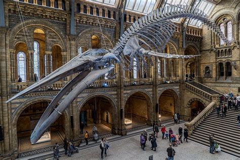 6 Favourite Museums in London - Tourist England