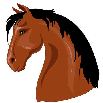 Cartoon Horse Face