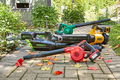 The 9 Best Electric Leaf Blowers, Tested and Reviewed