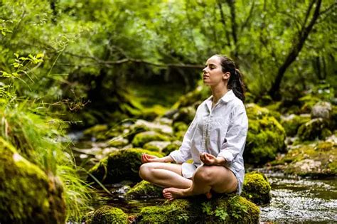 Meditation Forest Pictures | Download Free Images on Unsplash