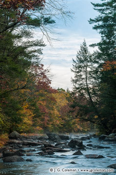 Colchester Riverscape – J. G. Coleman Photography