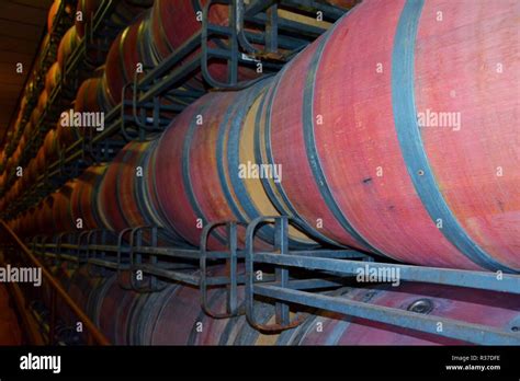 wine cellar and barrels Stock Photo - Alamy