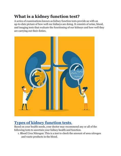 PPT - All You Need to Know About Kidney Function Test Types,Purposes ...