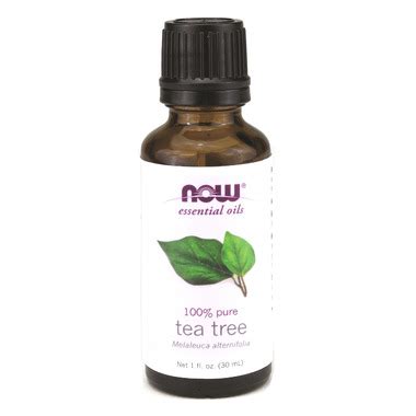 Buy NOW Essential Oils Tea Tree Oil at Well.ca | Free Shipping $35+ in ...