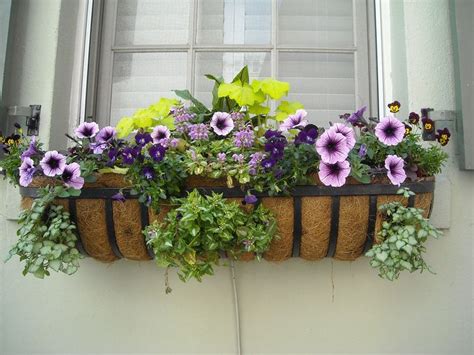 37 Gorgeous Window Flower Boxes (with Pictures)