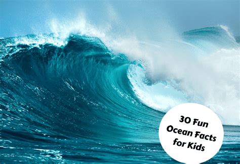 30 Fun Ocean Facts For Kids - Teaching Expertise