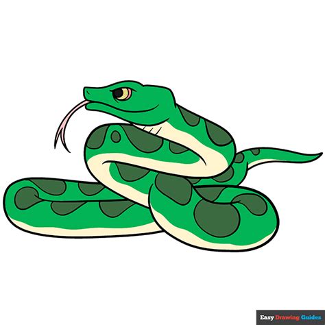 How to Draw a Snake - Really Easy Drawing Tutorial