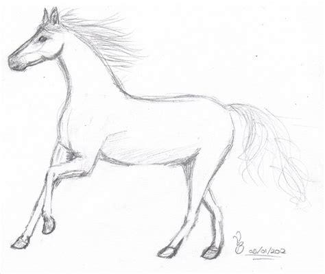 19+ horse pencil sketch - HowieEdwyn