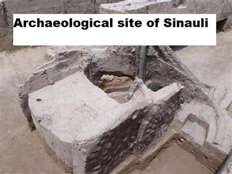 All about the Archaeological site of Sinauli: Know it's secrets and what makes it unique here