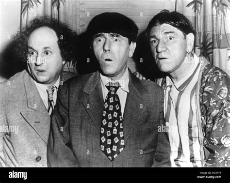 SCRAMBLED BRAINS, Larry Fine, Moe Howard, Shemp Howard [The Three ...