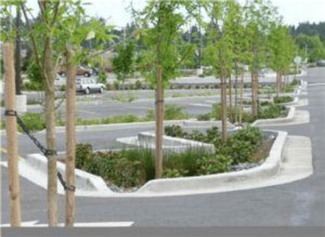 Parking Lot Landscaping Plan