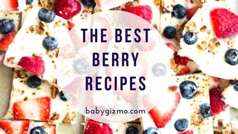 The Best Summer Berry Recipes – | Baby Gizmo