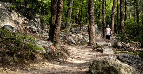 Hike Pine Mountain, Cartersville, Georgia